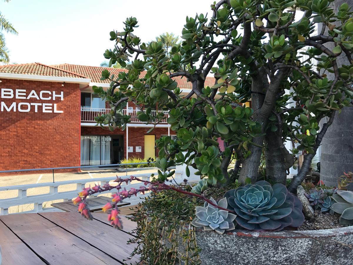 Thirroul Beach Motel מראה חיצוני תמונה